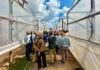 Zim’s Marula barns boost tobacco quality, help reduce deforestation
