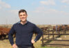 Anton Pelser: bringing youthful energy to innovation