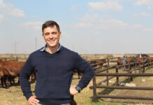 Anton Pelser: bringing youthful energy to innovation