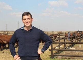 Anton Pelser: bringing youthful energy to innovation