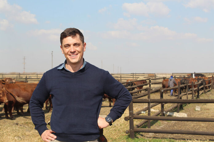 Anton Pelser: bringing youthful energy to innovation