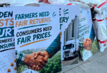 Grain SA warns of major financial losses in soya bean pricing dispute