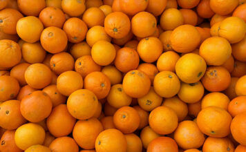 South African citrus gains new cold-treatment option for India market