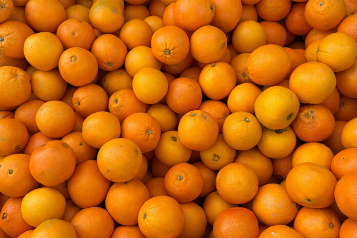 South African citrus gains new cold-treatment option for India market