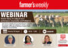 Dormer Sheep: breeding for performance, adaptability, and profitability