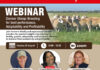 Register for the Dormer Sheep webinar