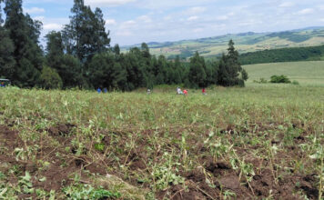 ETI offers payroll relief for agricultural employers, but compliance is key