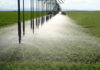 Irrigation investment shifts as costs and water risks rise