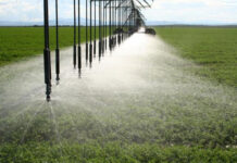 Irrigation investment shifts as costs and water risks rise