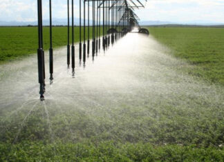 Irrigation investment shifts as costs and water risks rise