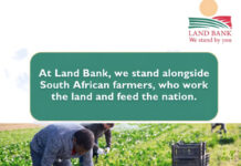 Land Bank challenged over debt recovery and liquidations