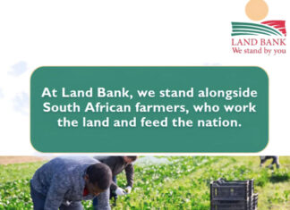 Land Bank challenged over debt recovery and liquidations