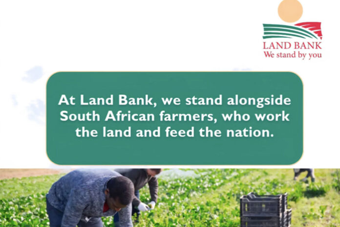 Land Bank challenged over debt recovery and liquidations
