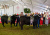 Biosecurity measures tightened for Swartland Show
