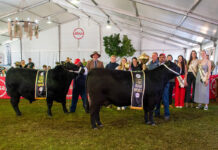 Biosecurity measures tightened for Swartland Show