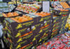‘Highly unusual’ South African citrus season tests industry resilience