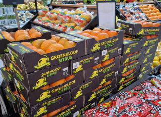 ‘Highly unusual’ South African citrus season tests industry resilience