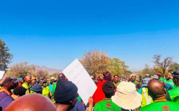 SA’s beleaguered sugar industry hit by strike