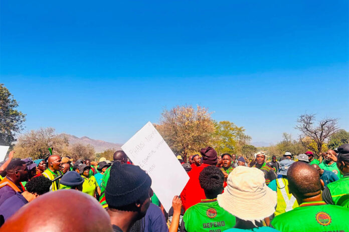 SA’s beleaguered sugar industry hit by strike