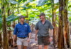Agrico delivers unique irrigation solutions for Inyoni bananas