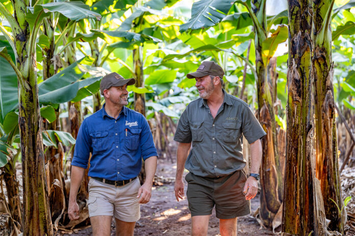 Agrico delivers unique irrigation solutions for Inyoni bananas