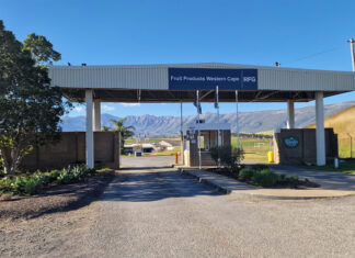 Premier pledges grower compensation as Tulbagh talks continue