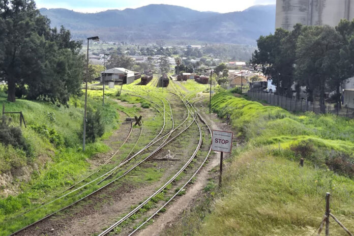 Plans taking shape to move agri commodities by rail