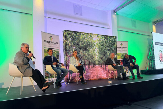 Climate uncertainty reshapes table grape industry thinking