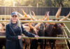 Twenty years at Kilima