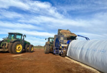 Silage quality checklist for dairy farmers