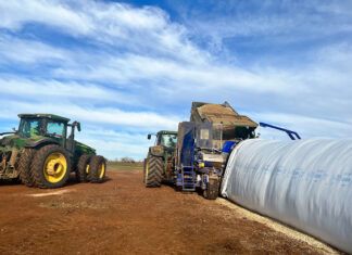 Silage quality checklist for dairy farmers