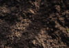 Significance of soil mapping in productive vineyards