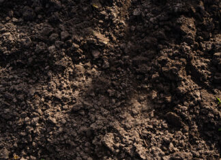 Significance of soil mapping in productive vineyards