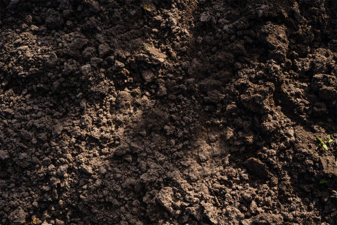Significance of soil mapping in productive vineyards