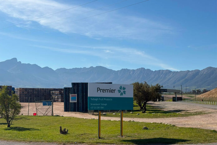Premier’s Tulbagh factory closure puts canning fruit value chain at risk