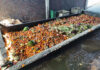 The cold chain: agriculture’s missing profit link
