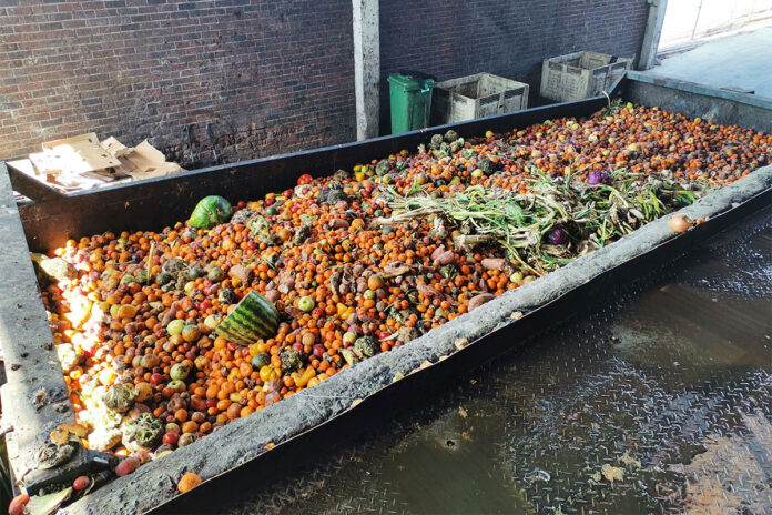The cold chain: agriculture’s missing profit link