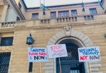 Sugar cane farmers take fight to Treasury as imports surge