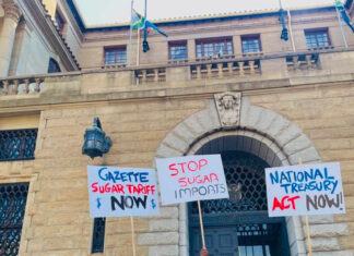 Sugar cane farmers take fight to Treasury as imports surge