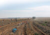 Quarterly agricultural employment dips despite year-on-year growth