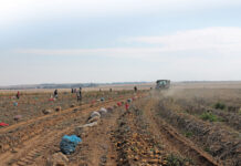 Quarterly agricultural employment dips despite year-on-year growth