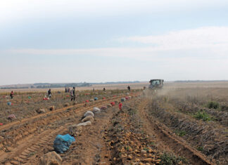 Quarterly agricultural employment dips despite year-on-year growth