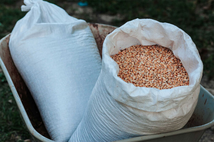 Investigation ends illegal brown-bag oat seed sales