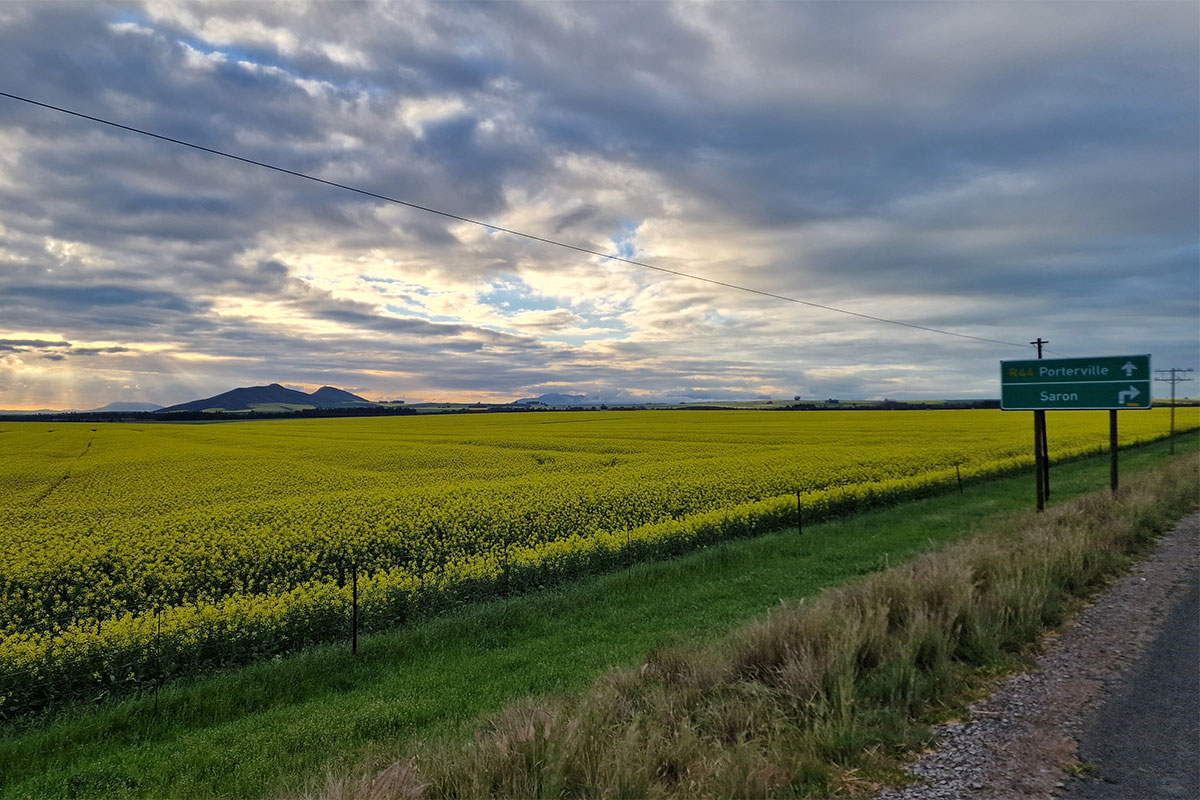 Lack of rain weighs on Swartland growers, says Grain SA