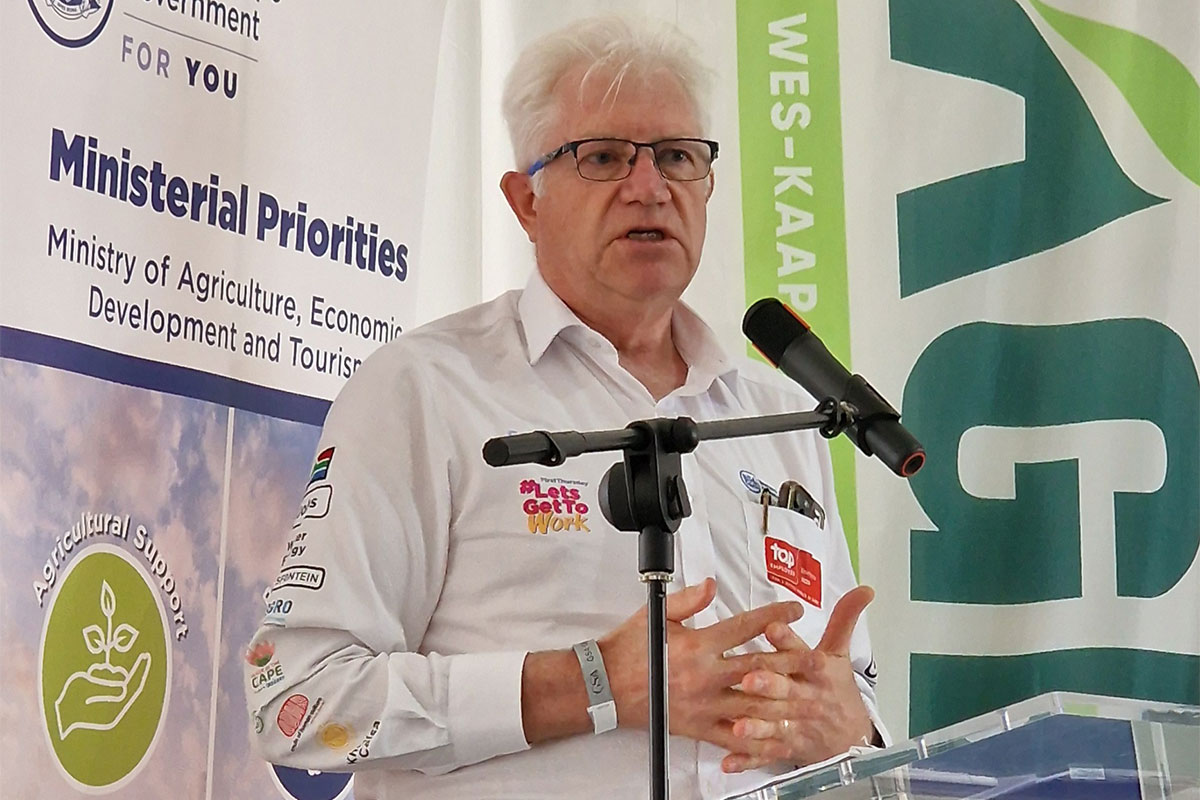 Western Cape premier urges farmers to prepare for extreme summer