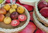 Hortgro’s 2025 fruit statistics show record exports amid rising costs