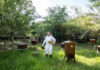 Plan ahead for successful pollination