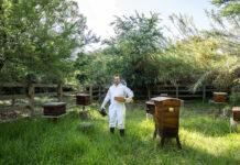 Plan ahead for successful pollination