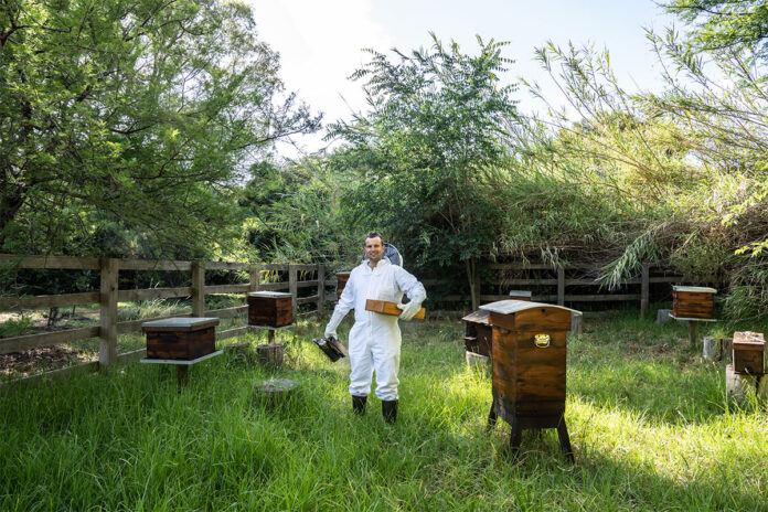Plan ahead for successful pollination