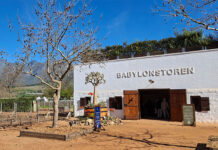 Diversity of opportunities in beekeeping
